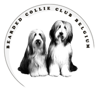 Clubshow Bearded Collie Club Belgium  met CAC