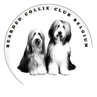 Clubshow Bearded Collie Club Belgium met CAC
